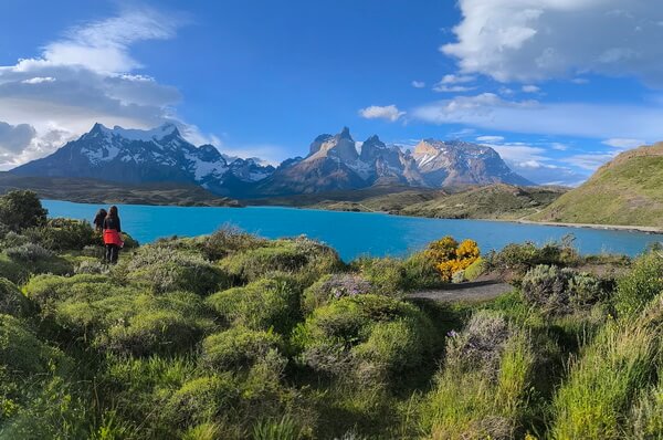 מלון מומלץ בתחומי שמורת טורס דל פאיינה, דרום פטגוניה